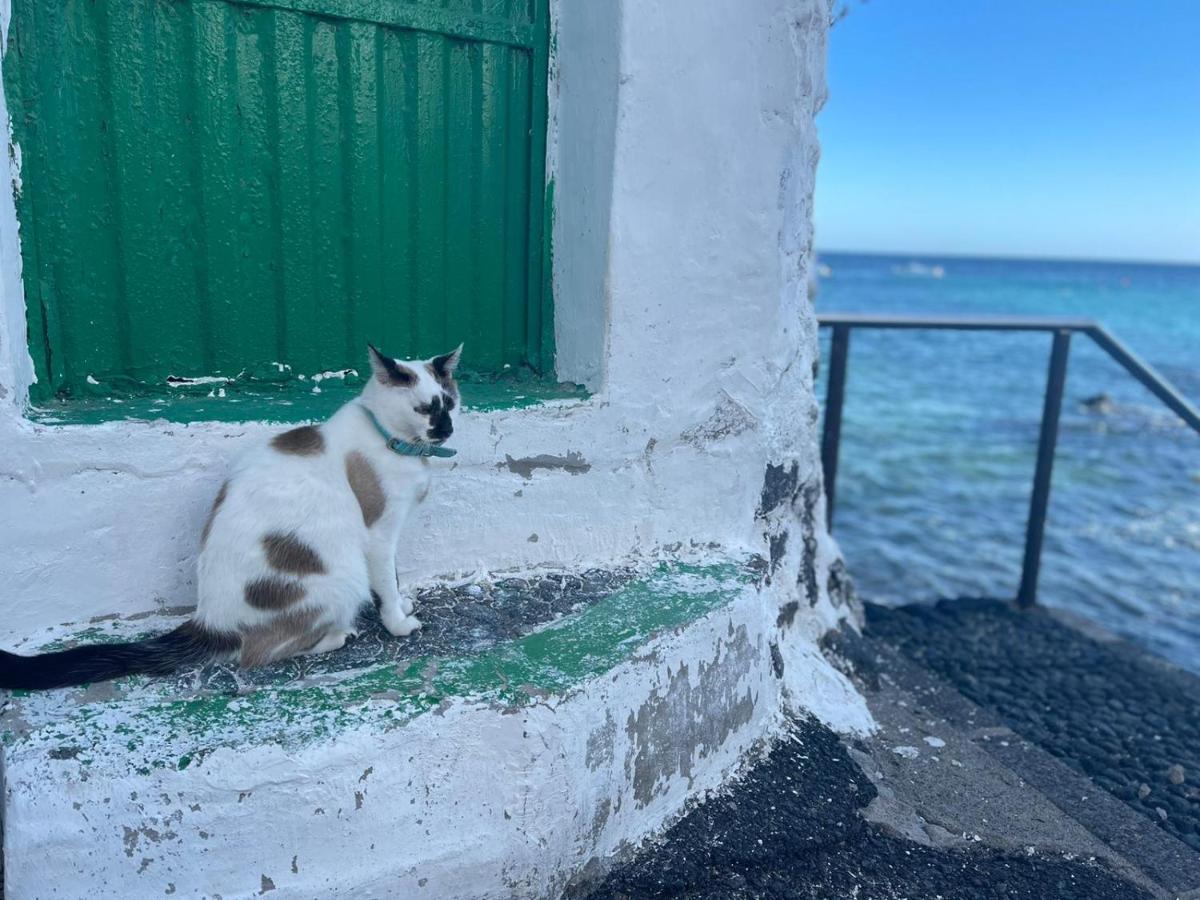 Las Brisas Complex, Villa 104 プラヤ・ブランカ エクステリア 写真